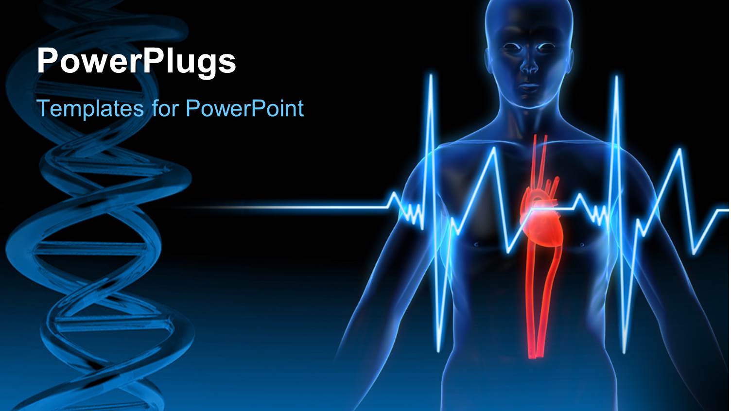 Anatomy Depiction of a Human Heart with ECG Rays and Medical Symbol Over Dark Background