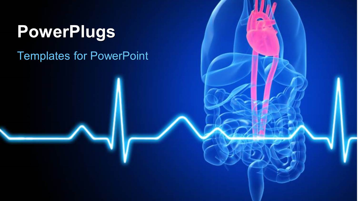 Anatomy Depiction of Human Organs with a Highlighted Heart and ECG Waves in Foreground