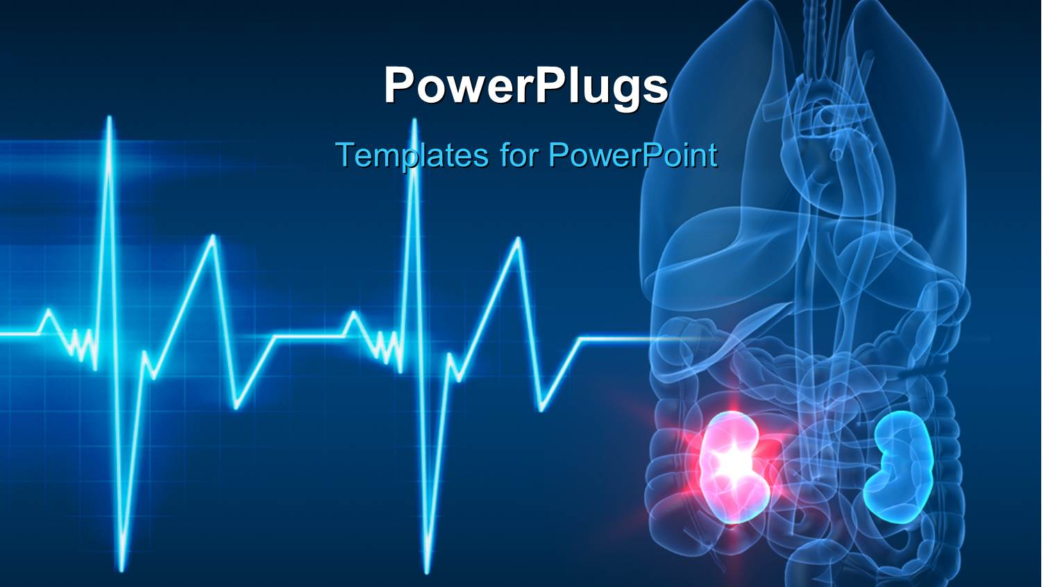Anatomy of Human Organs with Kidney Failure and ECG Wave in the Forefront