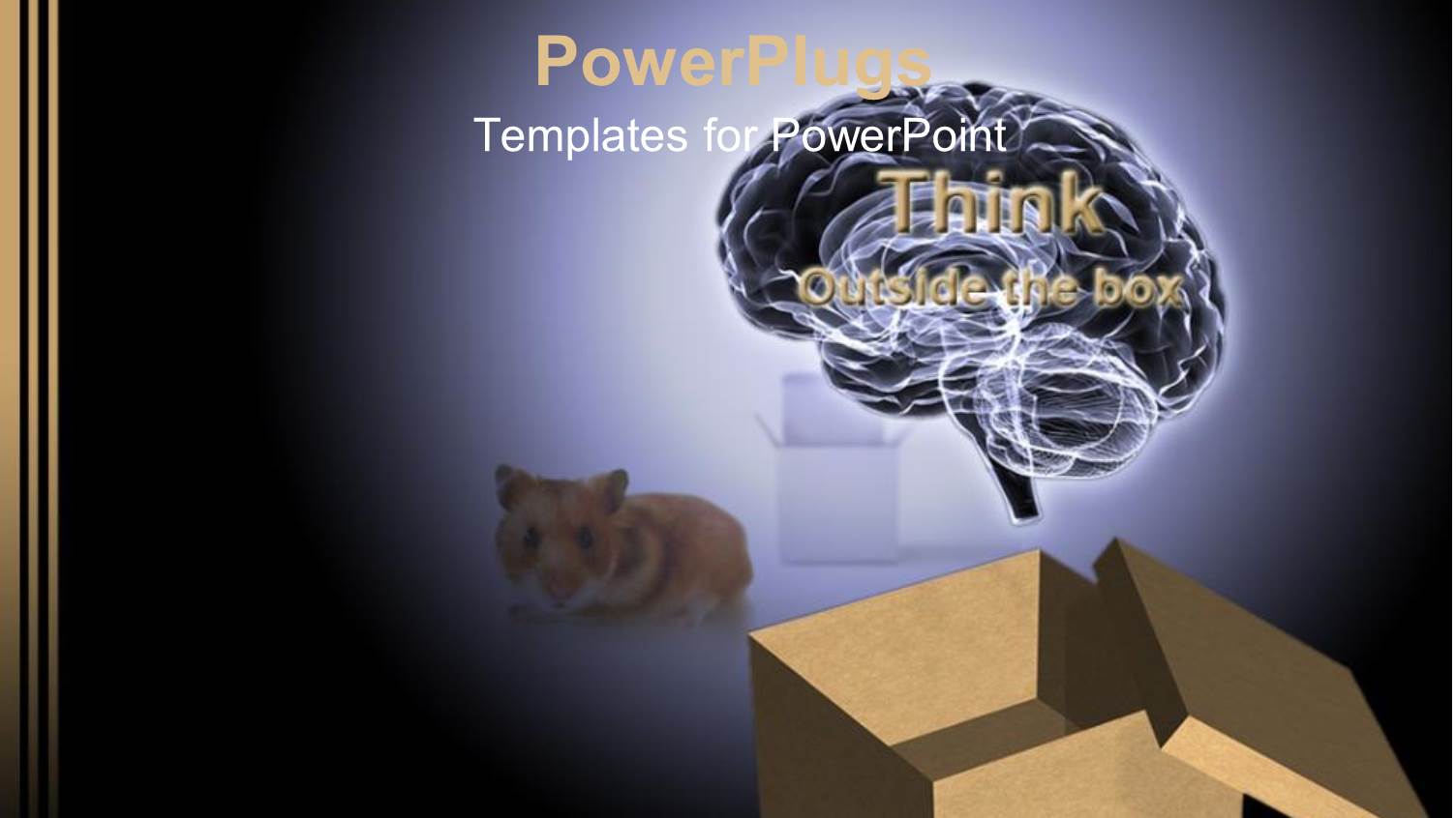 Animated Depiction of an Open Box with a Brain and a Cat