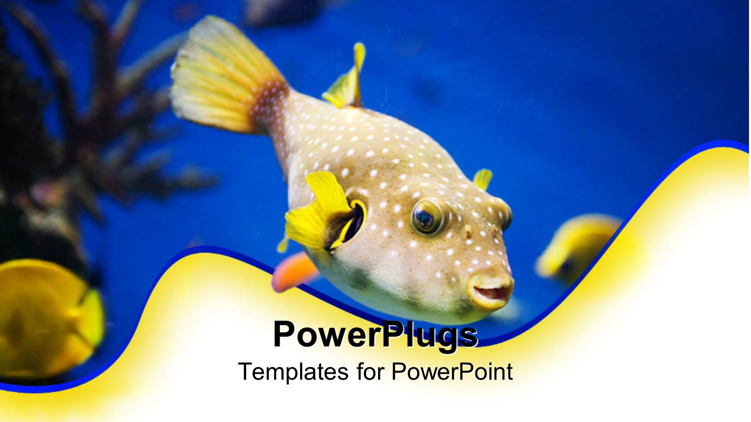 the Aquatic Life in the Ocean Depicted with the Help of a Beautiful Fish