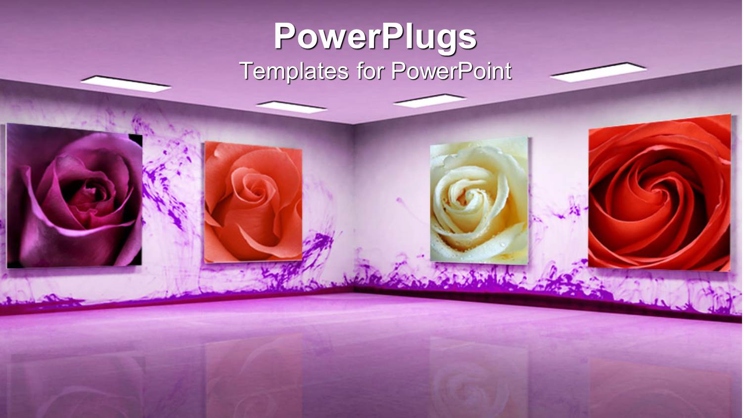 Art Gallery with Beautiful Purple Color, Different Roses in the Frames