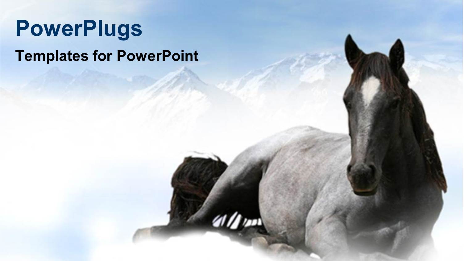 Ash Colored Horse with Tall Icy Mountains as Background