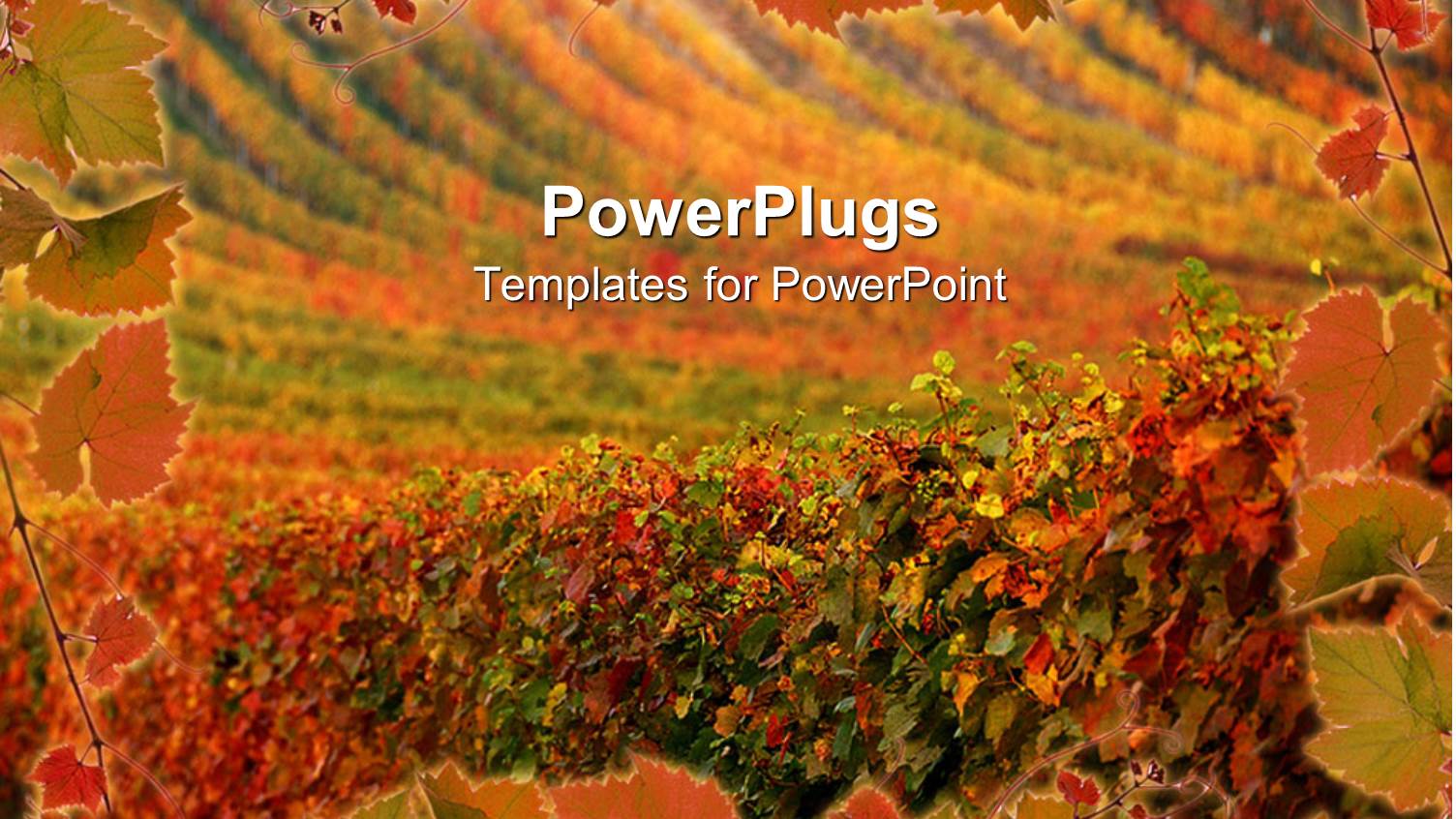 Autumn Depiction of Vegetation Arranged in Systematic Lines