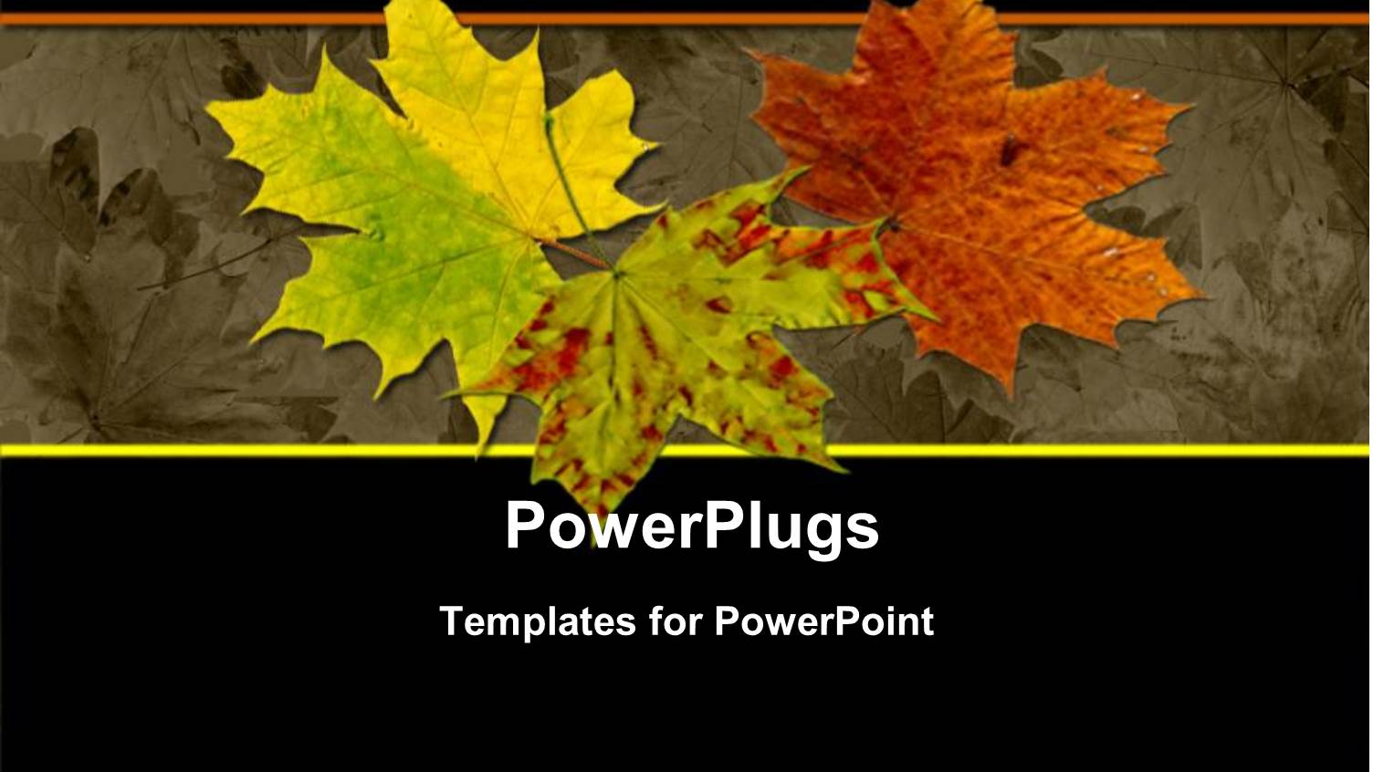 Autumn Leaves Red Yellow Green Leaves Black Background