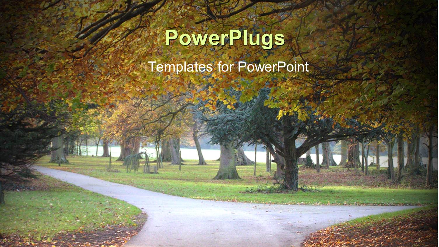 Autumn Park with Trail Orange and Red Leaves Grass Cold Day