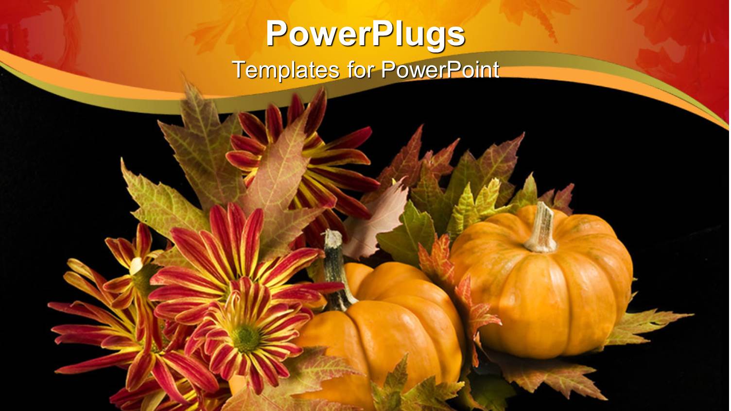 Autumn Season with Two Pumpkins on a Black Background