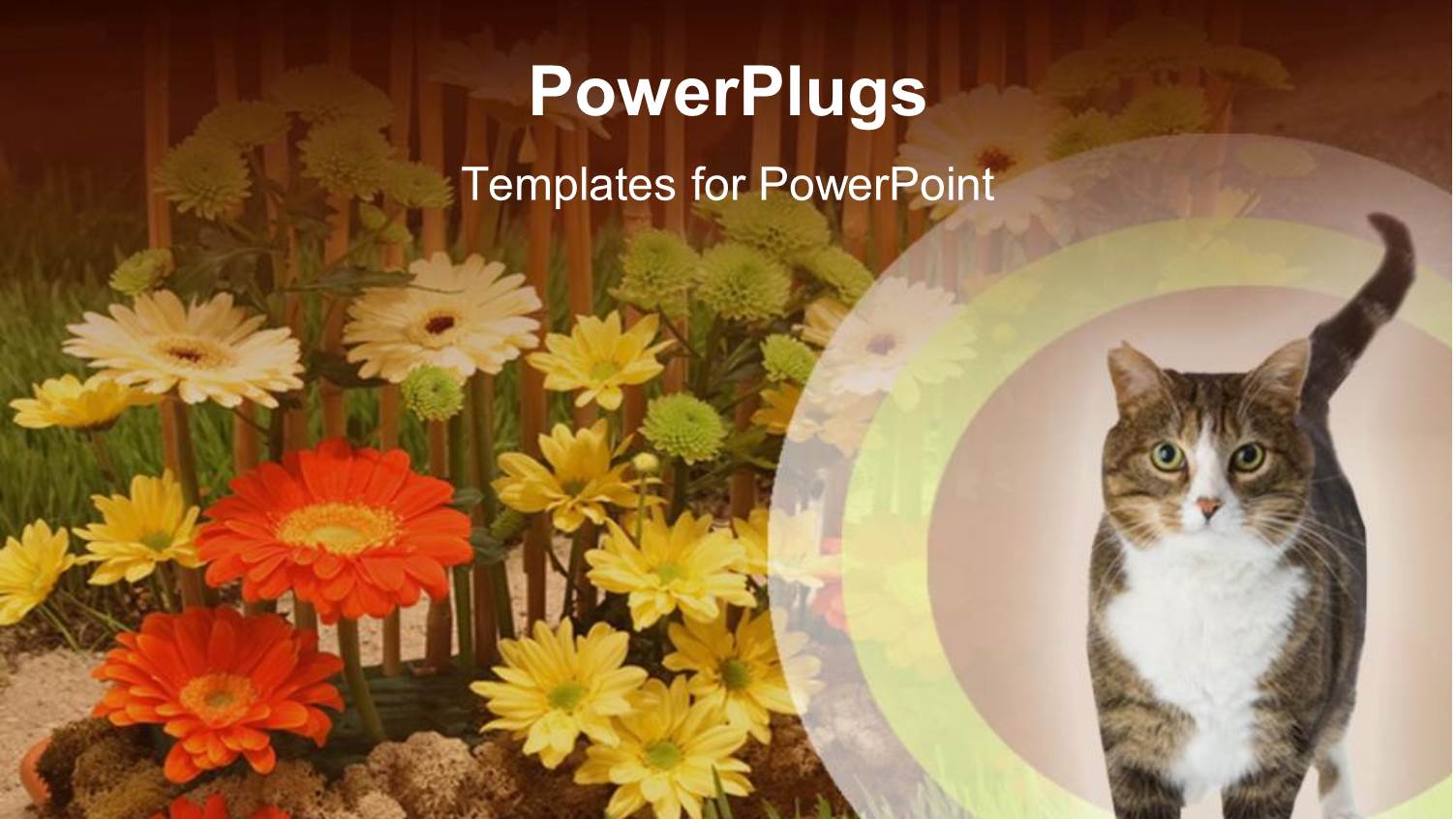 Background of Colorful Flowers with Cat at Bottom Right Corner