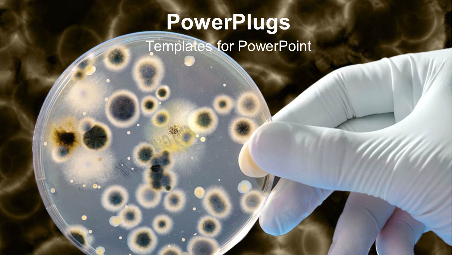 Bacteria Culture Background with a White Gloved Hand Holding Petri Dish