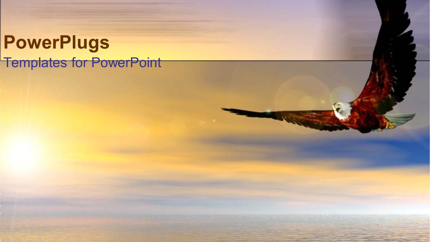 Bald Eagle Bird Flying Above Ocean Sunset as a Metaphor