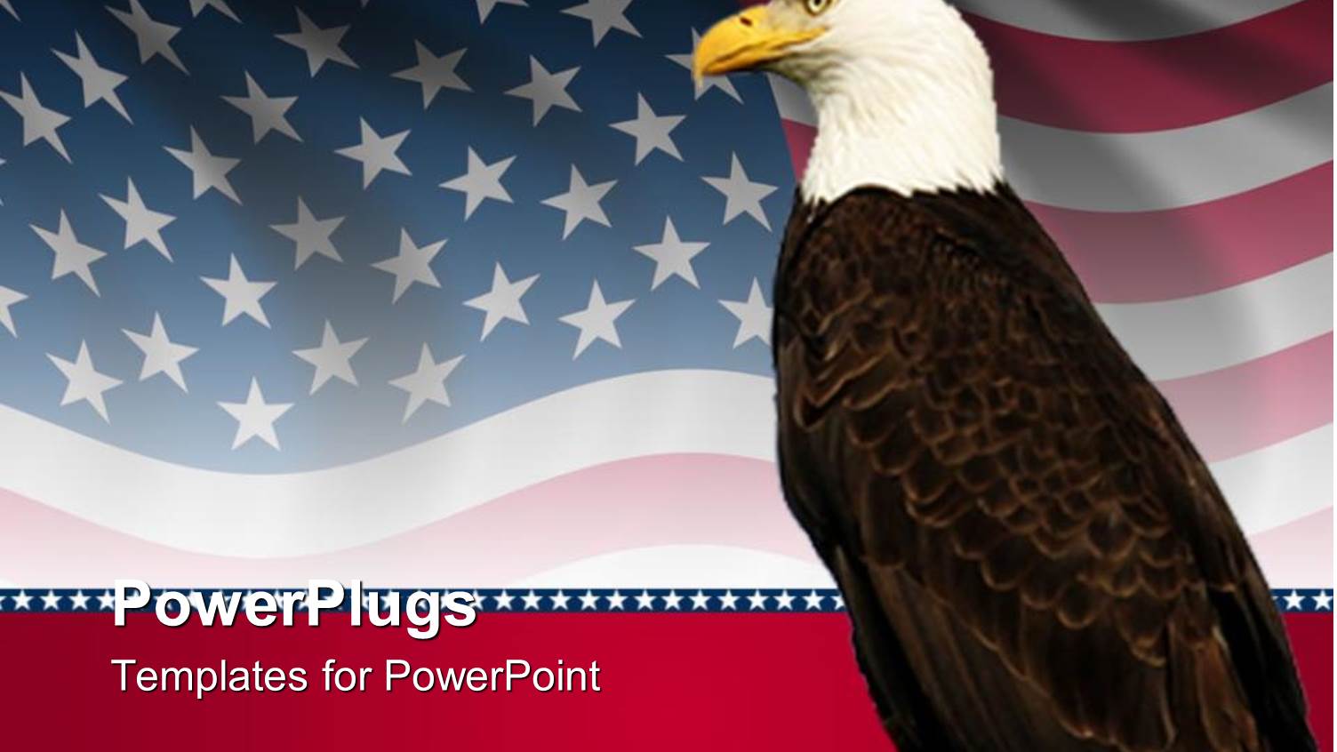 Bald Eagle in Front of an American Flag Background