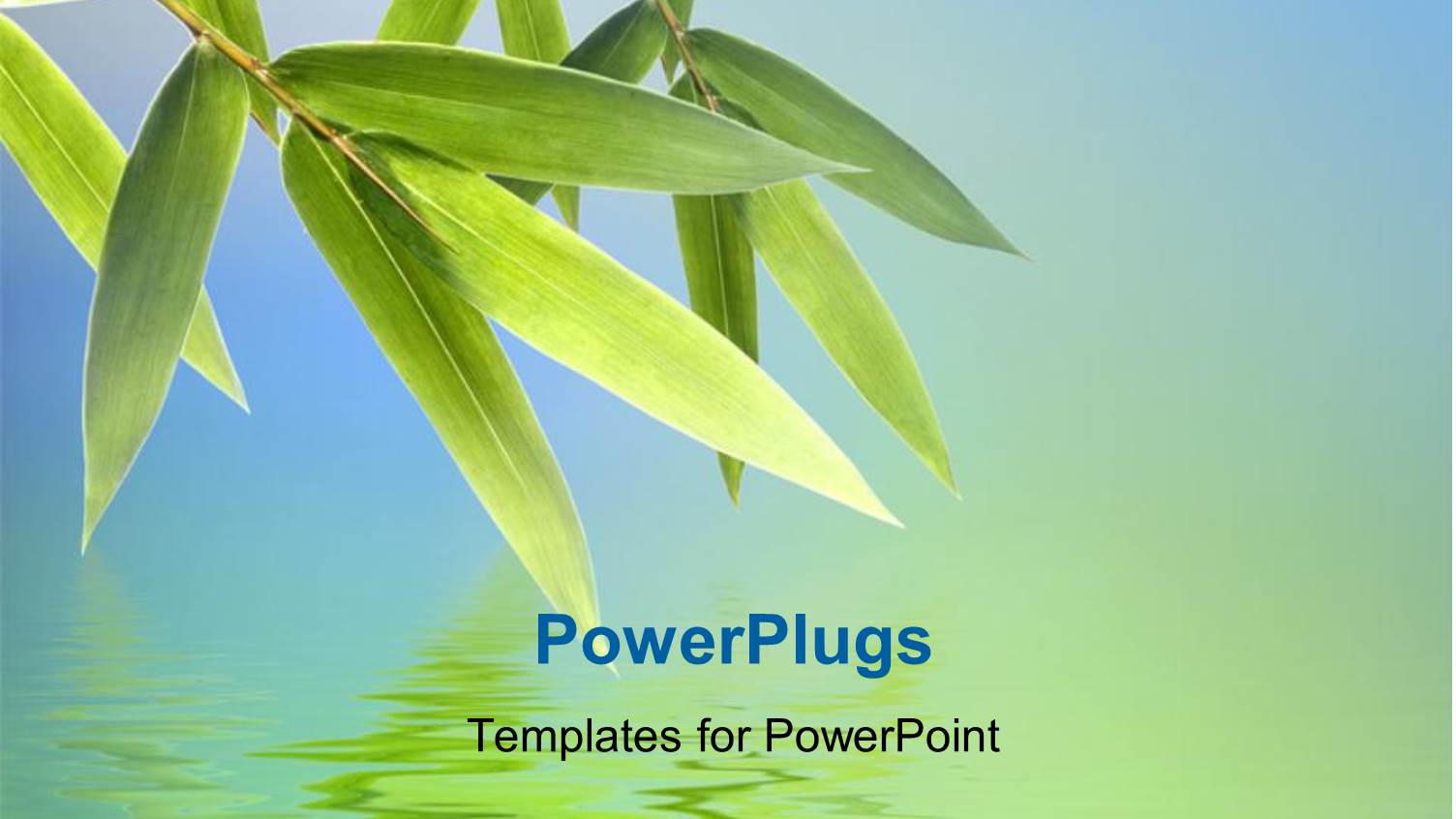 Bamboo Leaves with Reflection on Water Surface