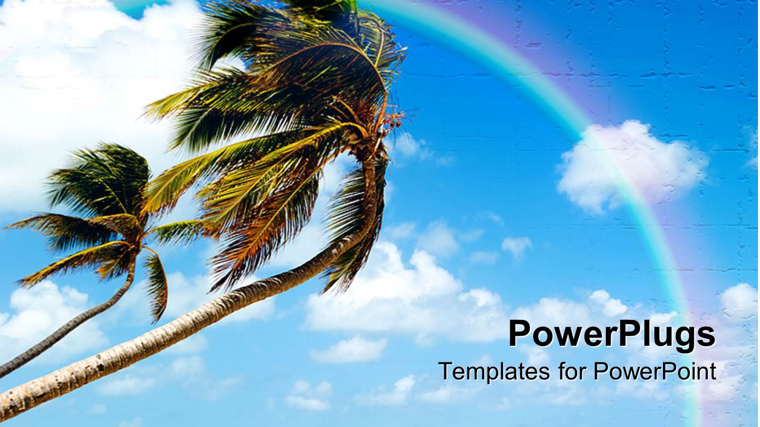 Beach with Blue River, Leaning Palm Trees, and a Rainbow