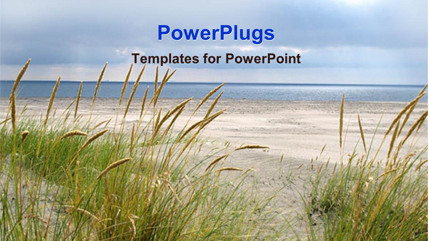 the Beach Display with the Ocean, the Sand and the Greenery