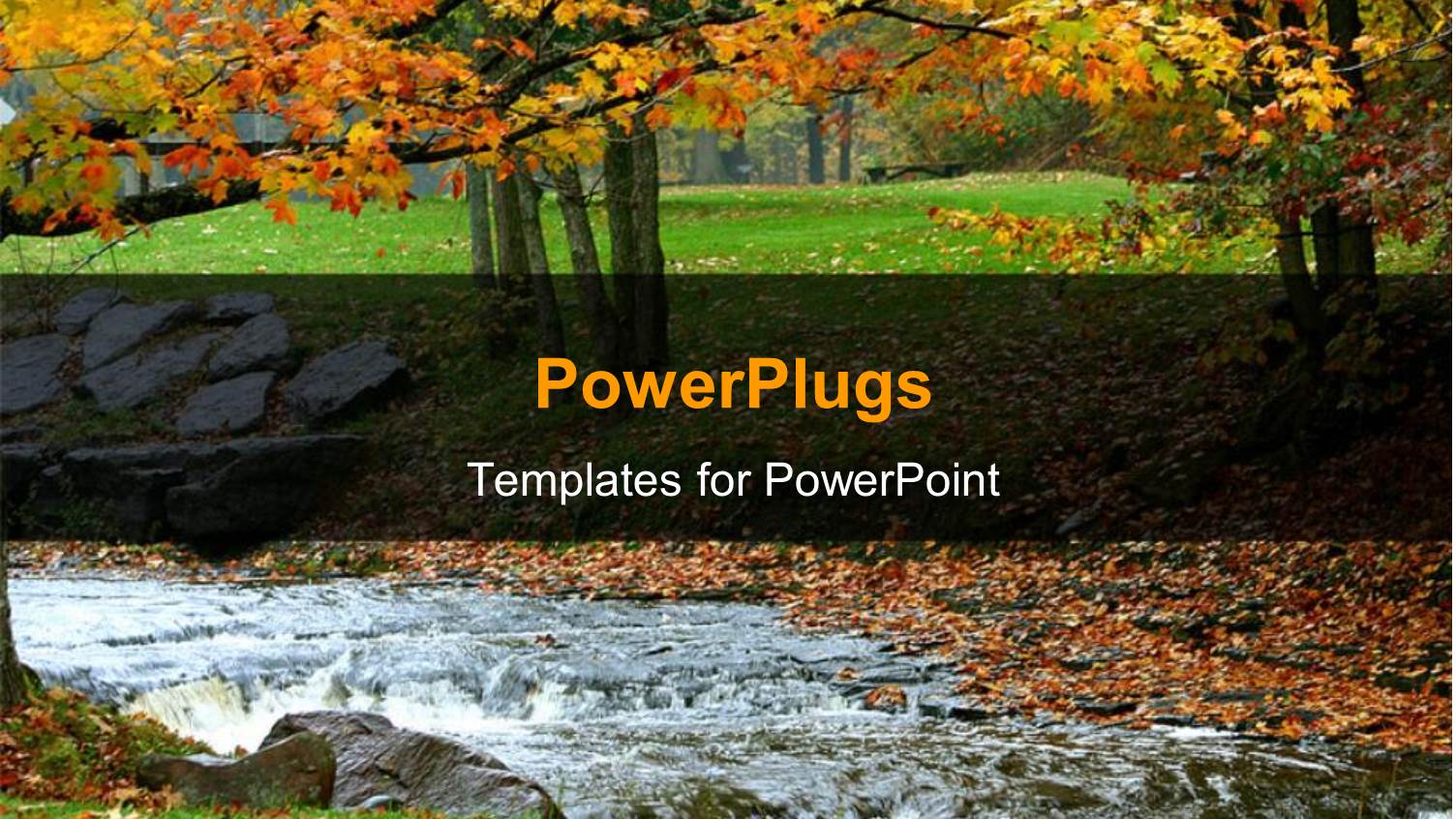 a Beautiful Autumn with a Water Flowing Landscape and Dried Leaves