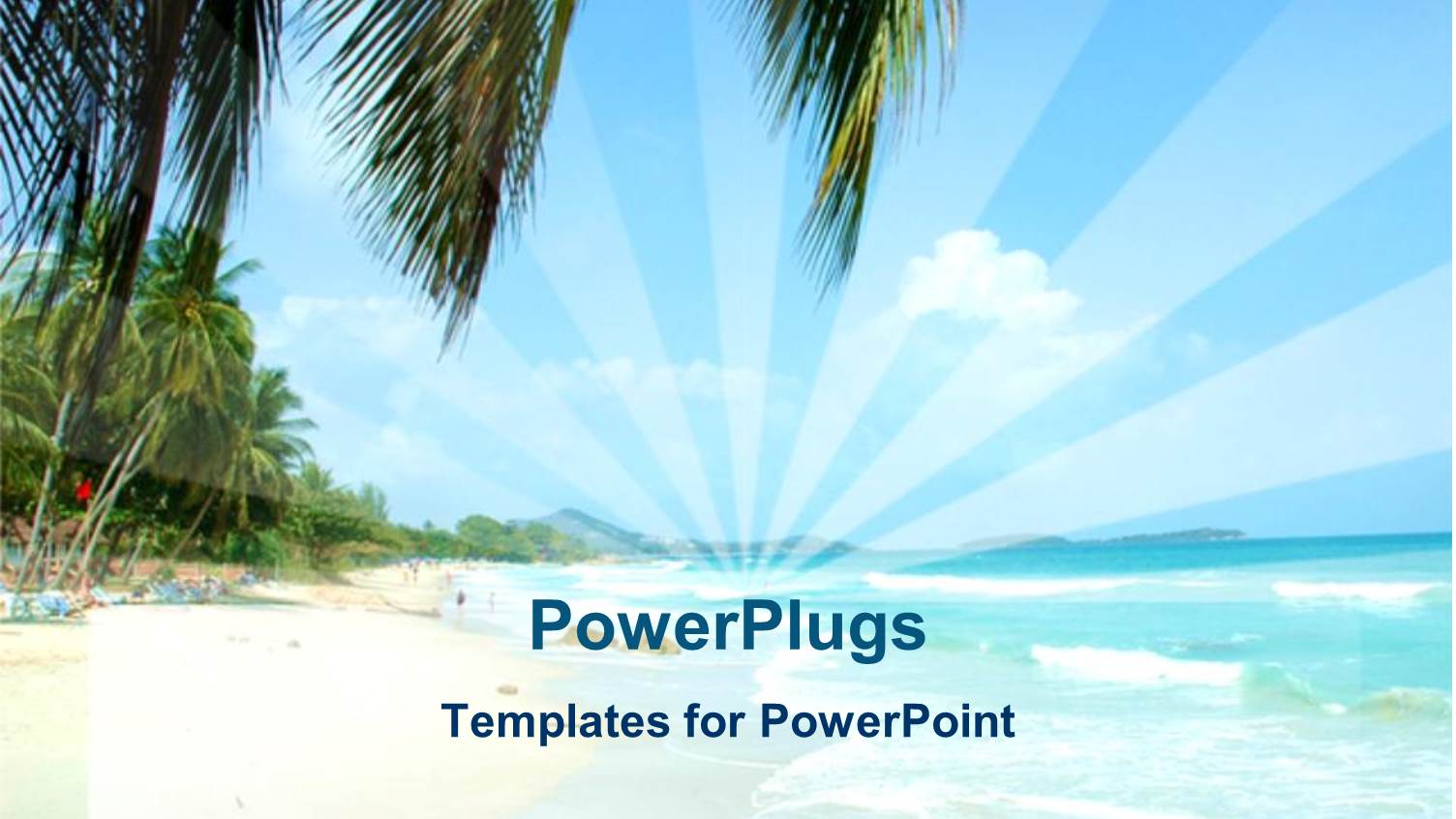 a Beautiful Beach with a Number of Palm Trees