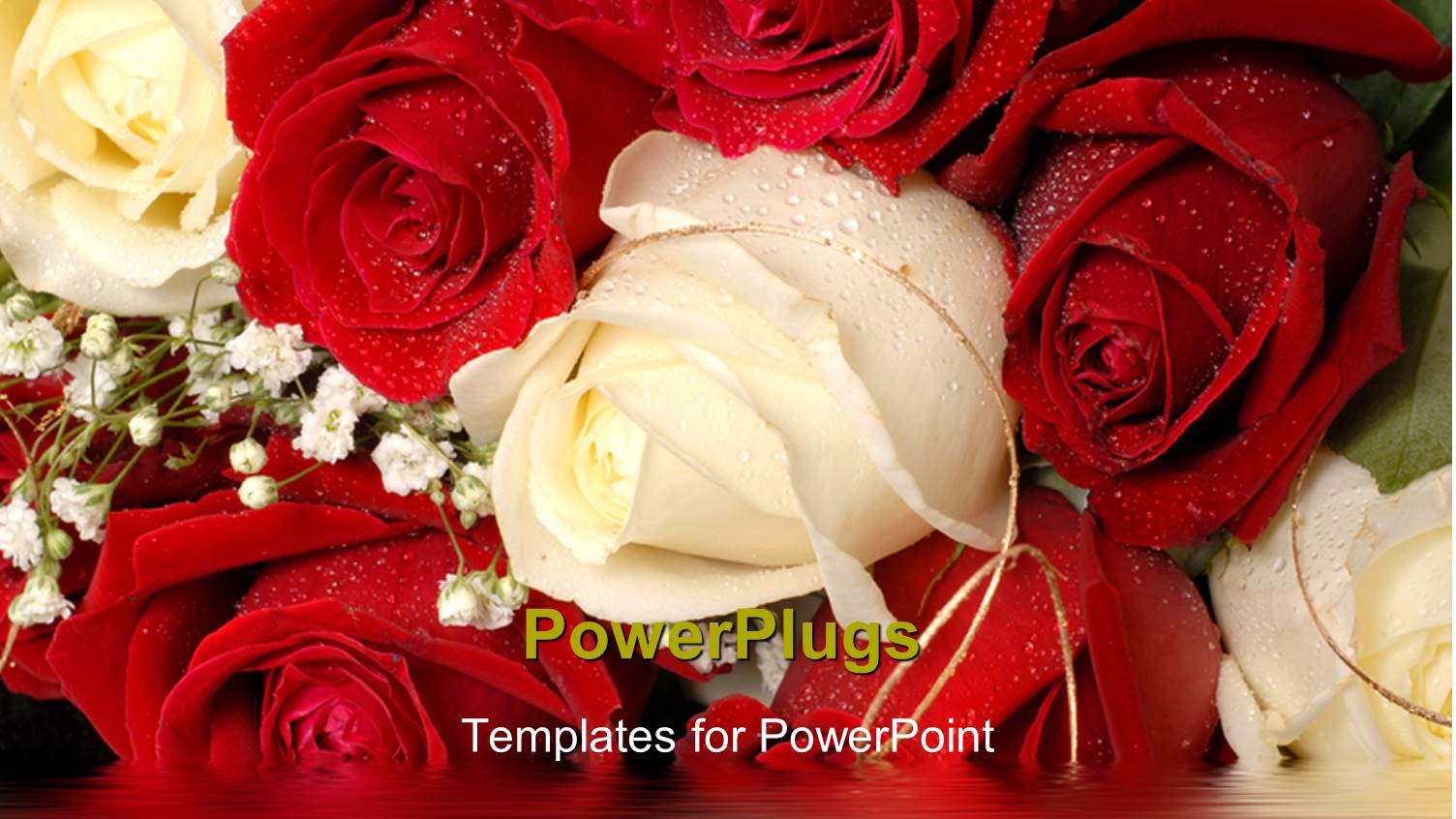 Beautiful Bunch of White and Red Roses with Water Droplets