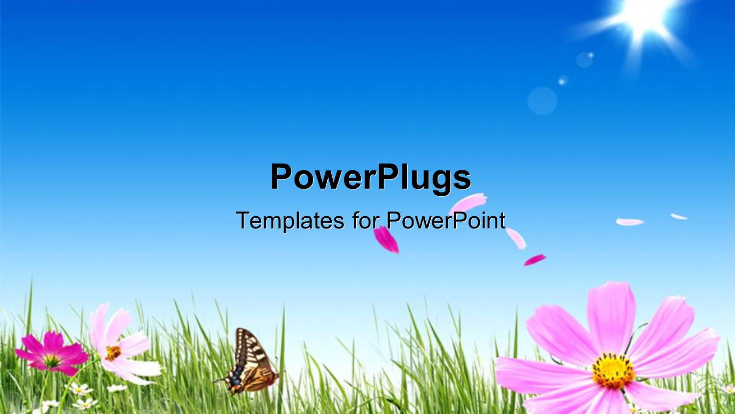 a Beautiful Day Time View of a Natural Landscape