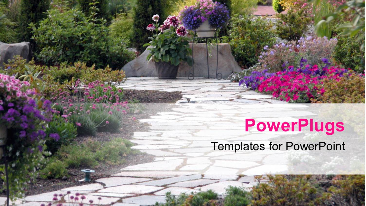 a Beautiful Depiction  of a Garden with a Number of Floral Plant