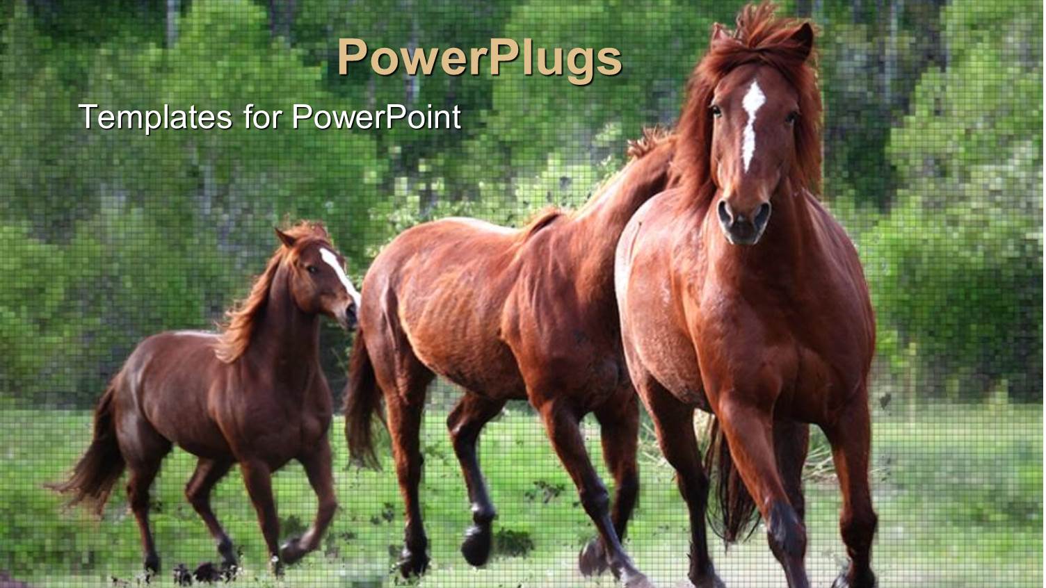 a Beautiful Depiction of a Horses Running in the Field