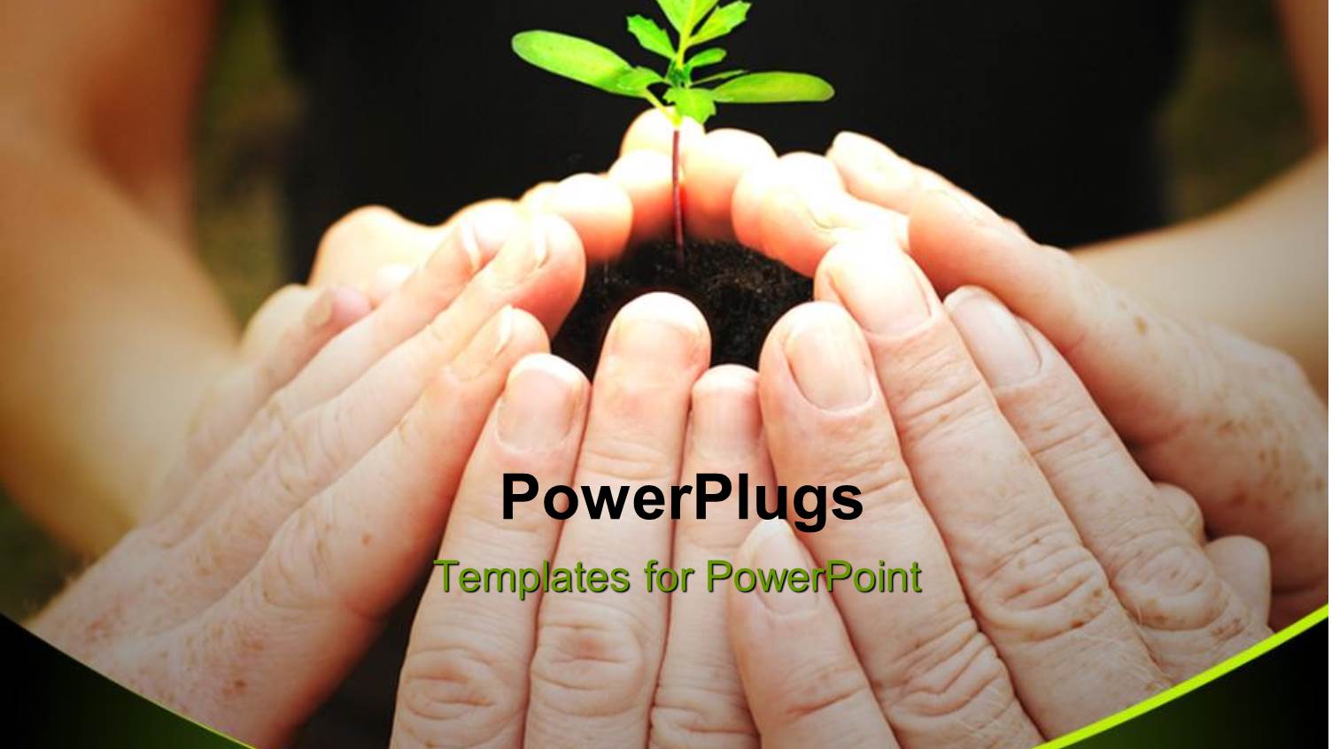 a Beautiful Depiction of a Number of People Caring for a Plant