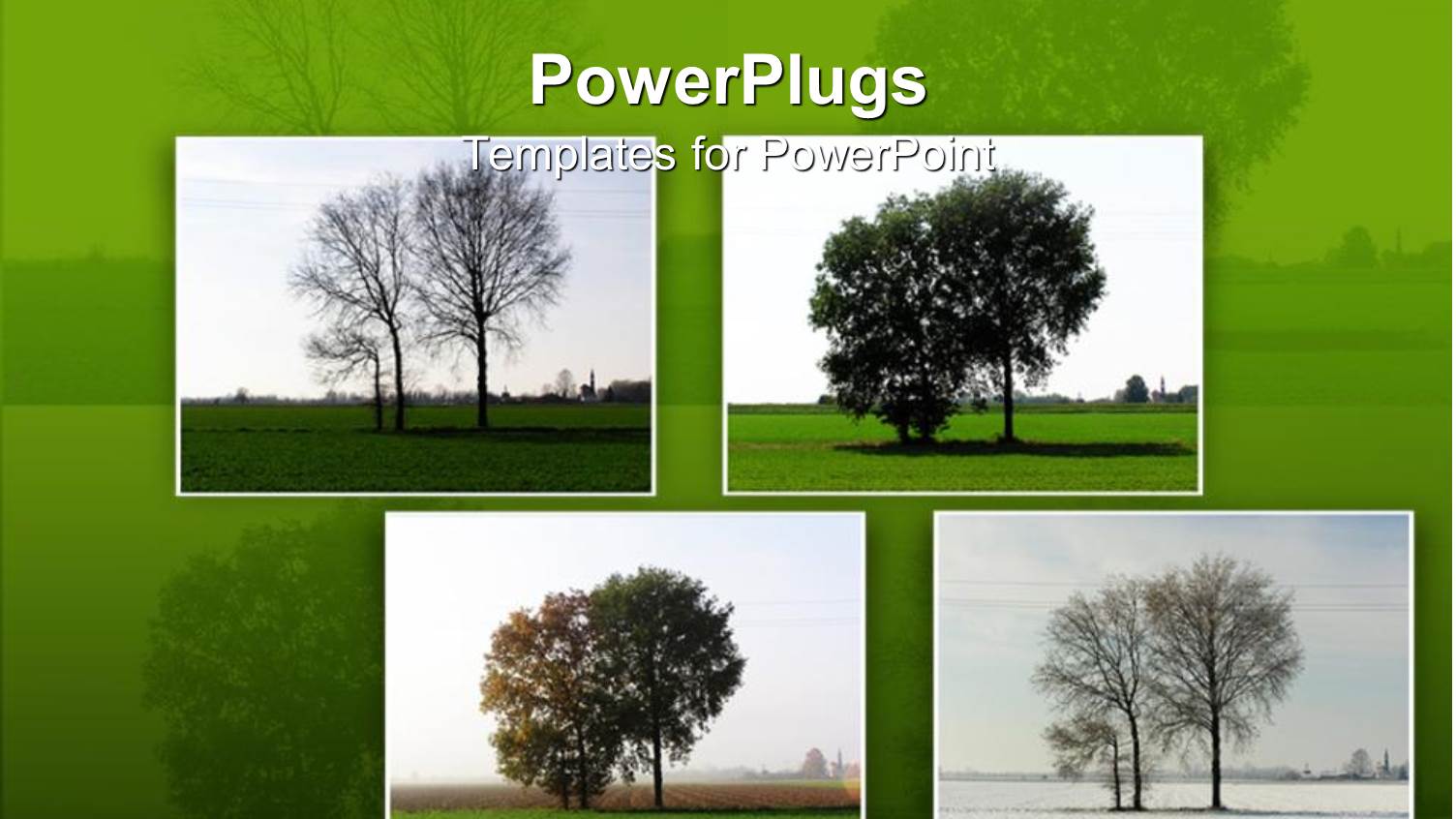 a Beautiful Depiction of Various Trees with Green Background