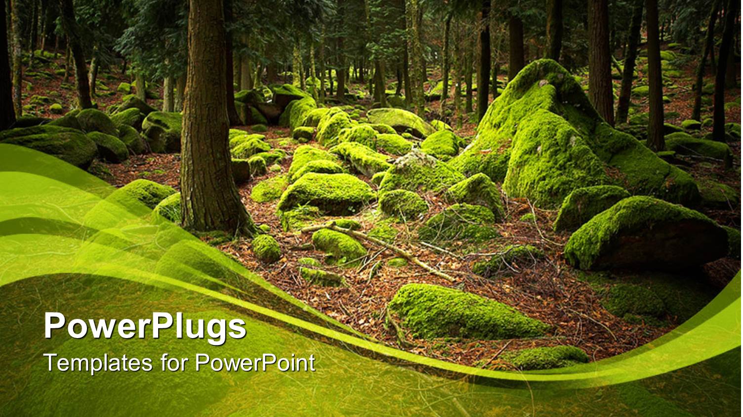 a Beautiful Depiction of Woods in the Background with Trees and Greenery