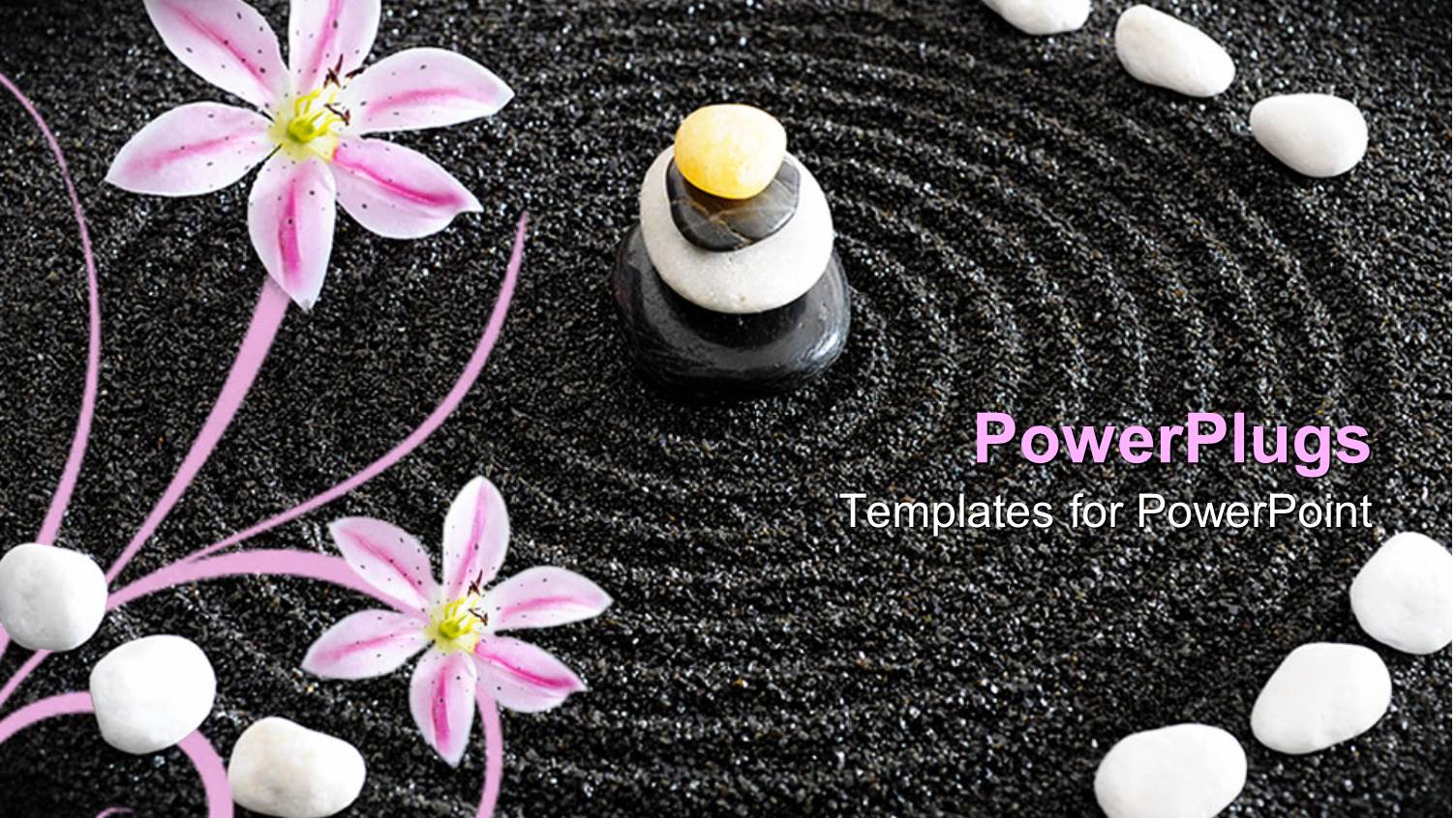 a Beautiful Depiction of Zen Garden Along with Circles in the Black Sand