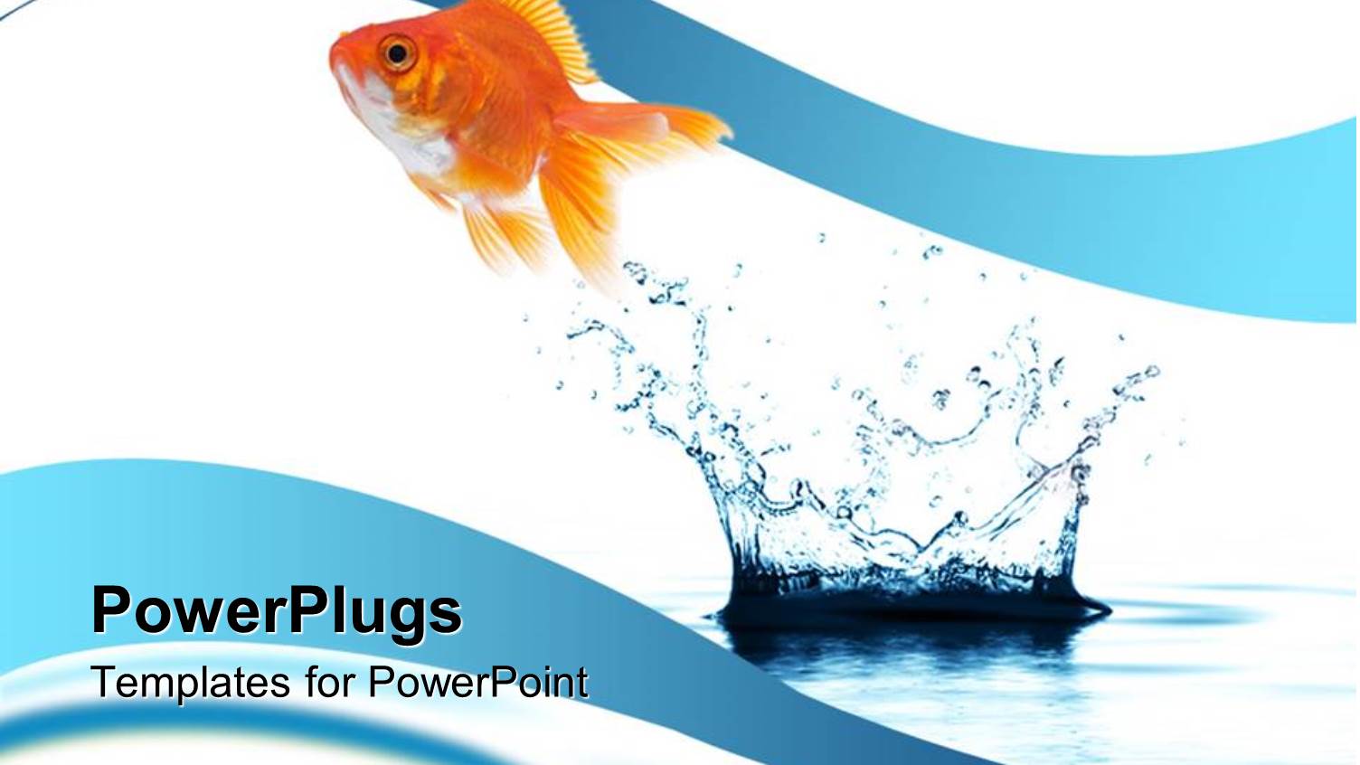 a Beautiful Fish and a Water Splash with Clear Background