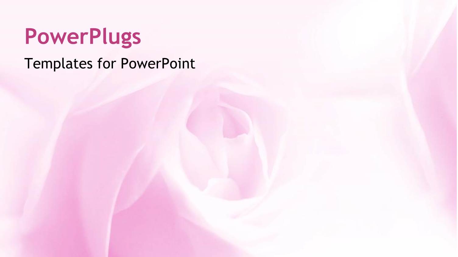 a Beautiful Floral template with Pinkish Background