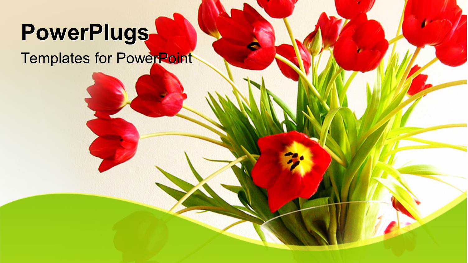 Beautiful Flower Bouquet with Red Tulips in White Background