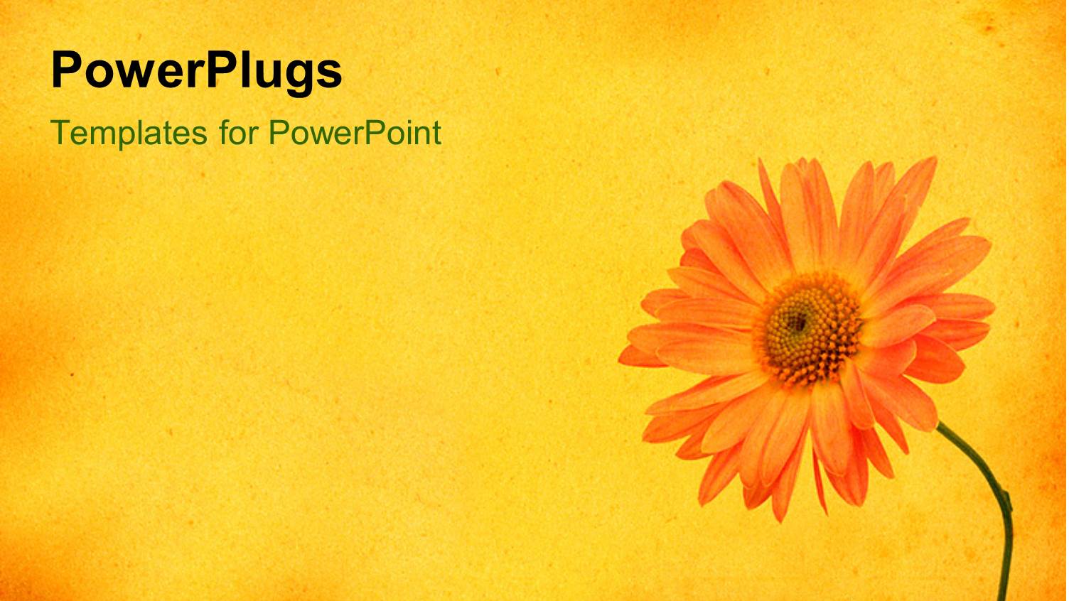 Beautiful Flower Growing from Vase on Yellow Nostalgic Background