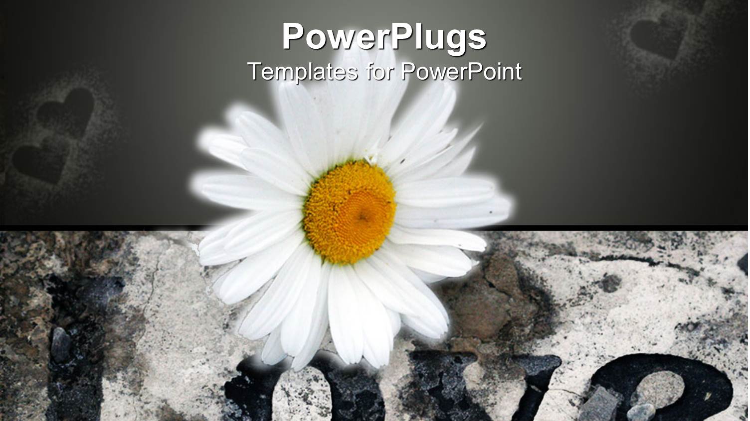 a Beautiful Flower with Hearts in the Background