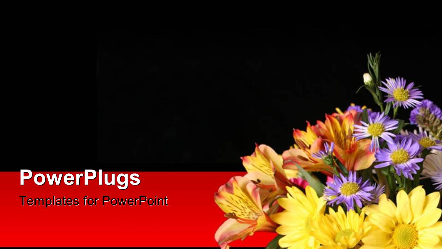 Beautiful Flowers in Right Bottom Corner Over Black Background 