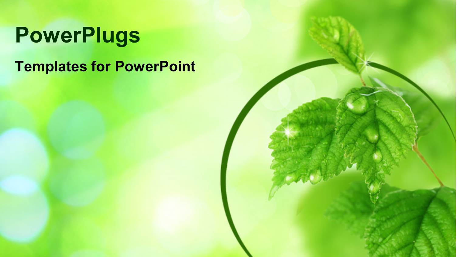 Beautiful Fresh Leaves with Water Drops