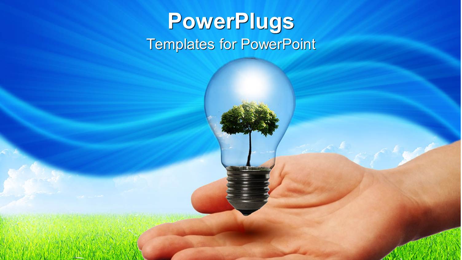 a Beautiful Glass with a Tree in it