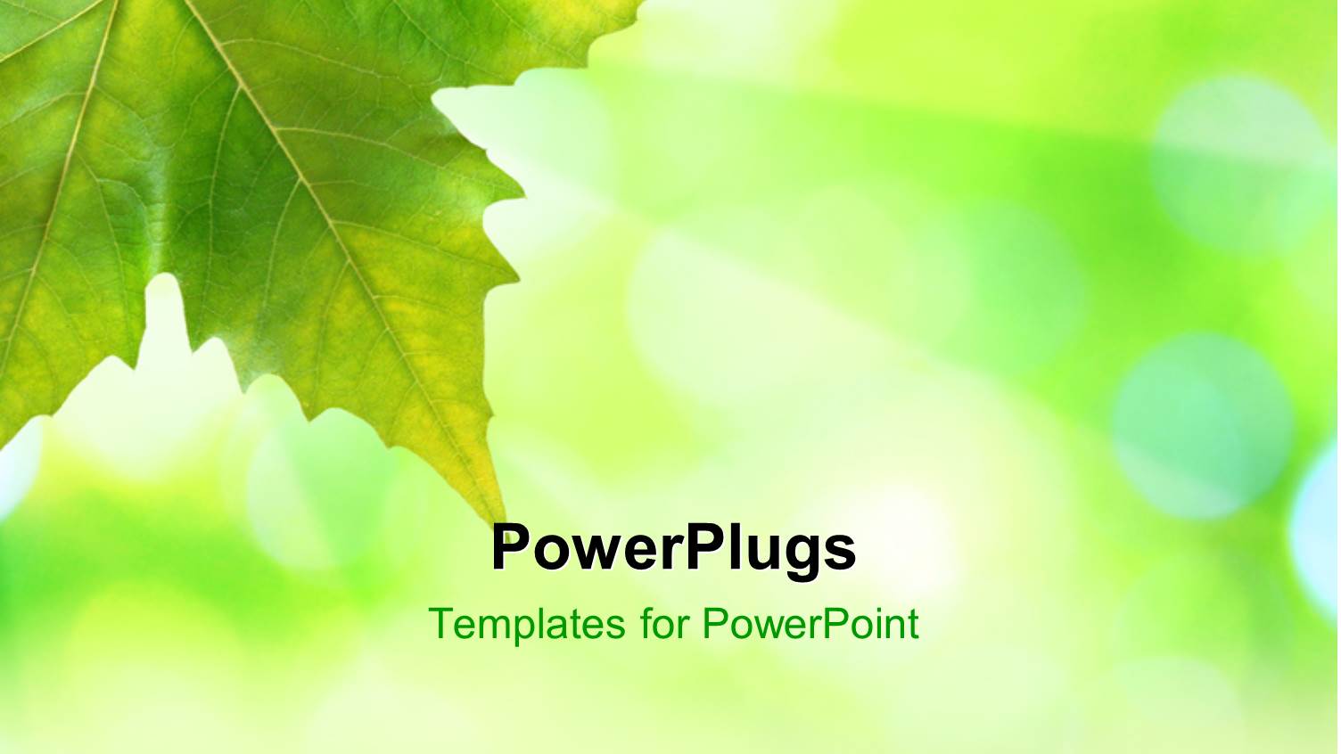 Beautiful Green Leaves with Green Background in Spring Depicting Nature