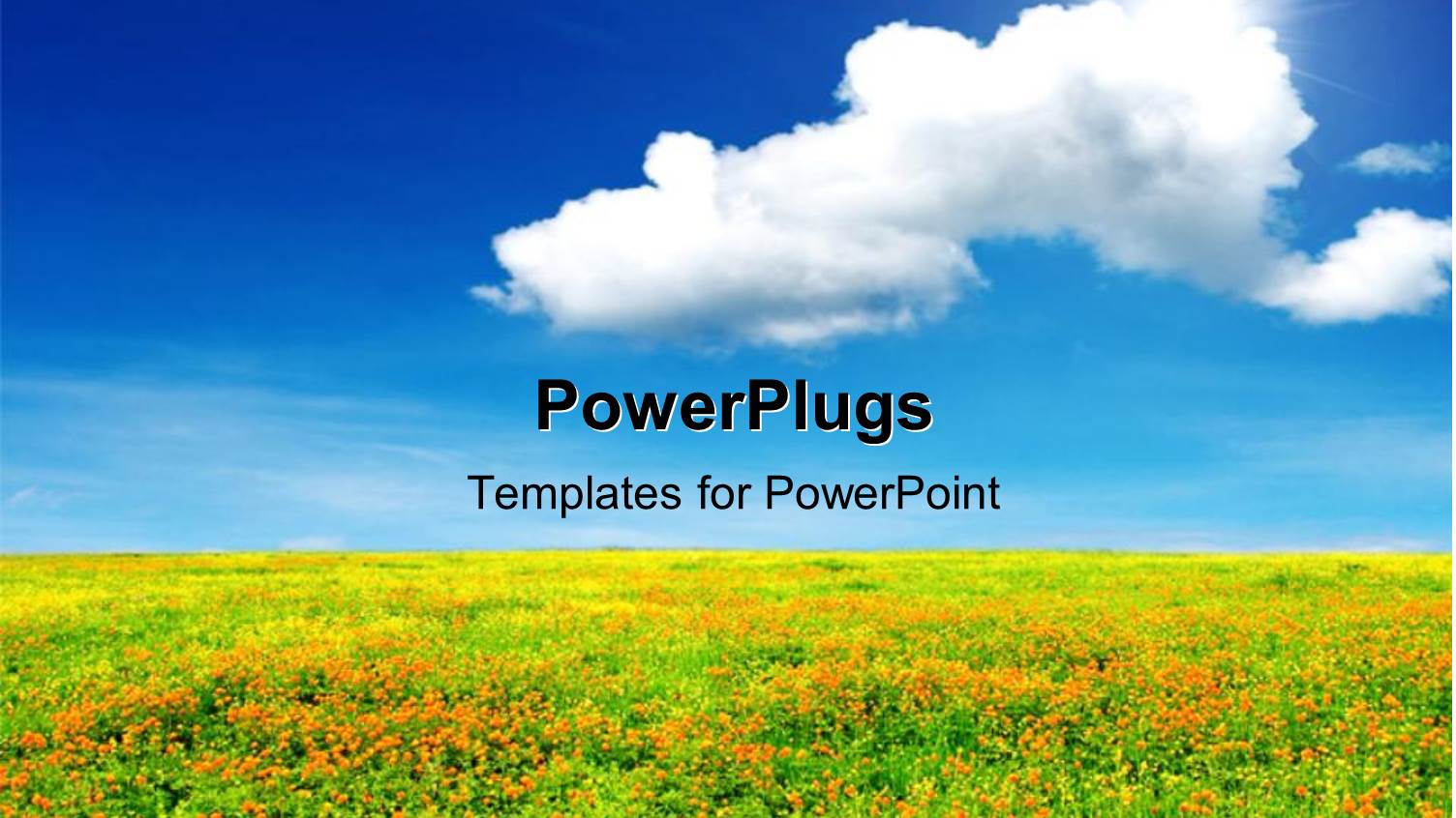 Beautiful Landscape of Flourishing Flower Field with Cloud Forming in Blue Sky