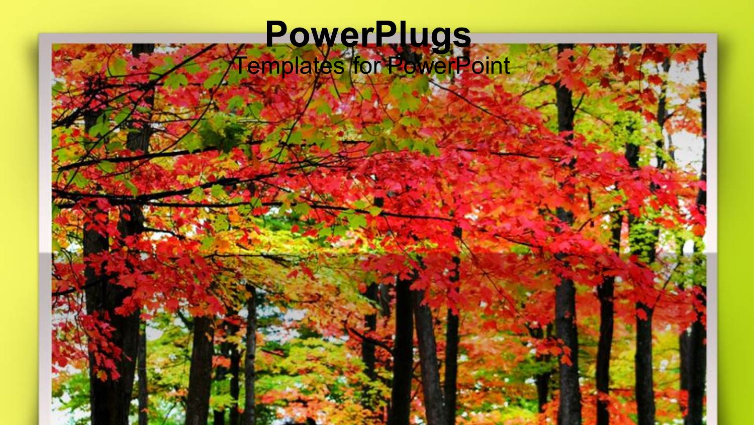 Beautiful Landscape View of Autumn Trees on Yellow Background