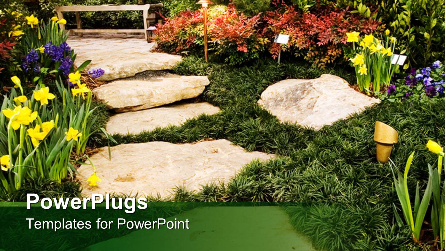 a Beautiful Natural Landscape with Lots of Colorful Flowers