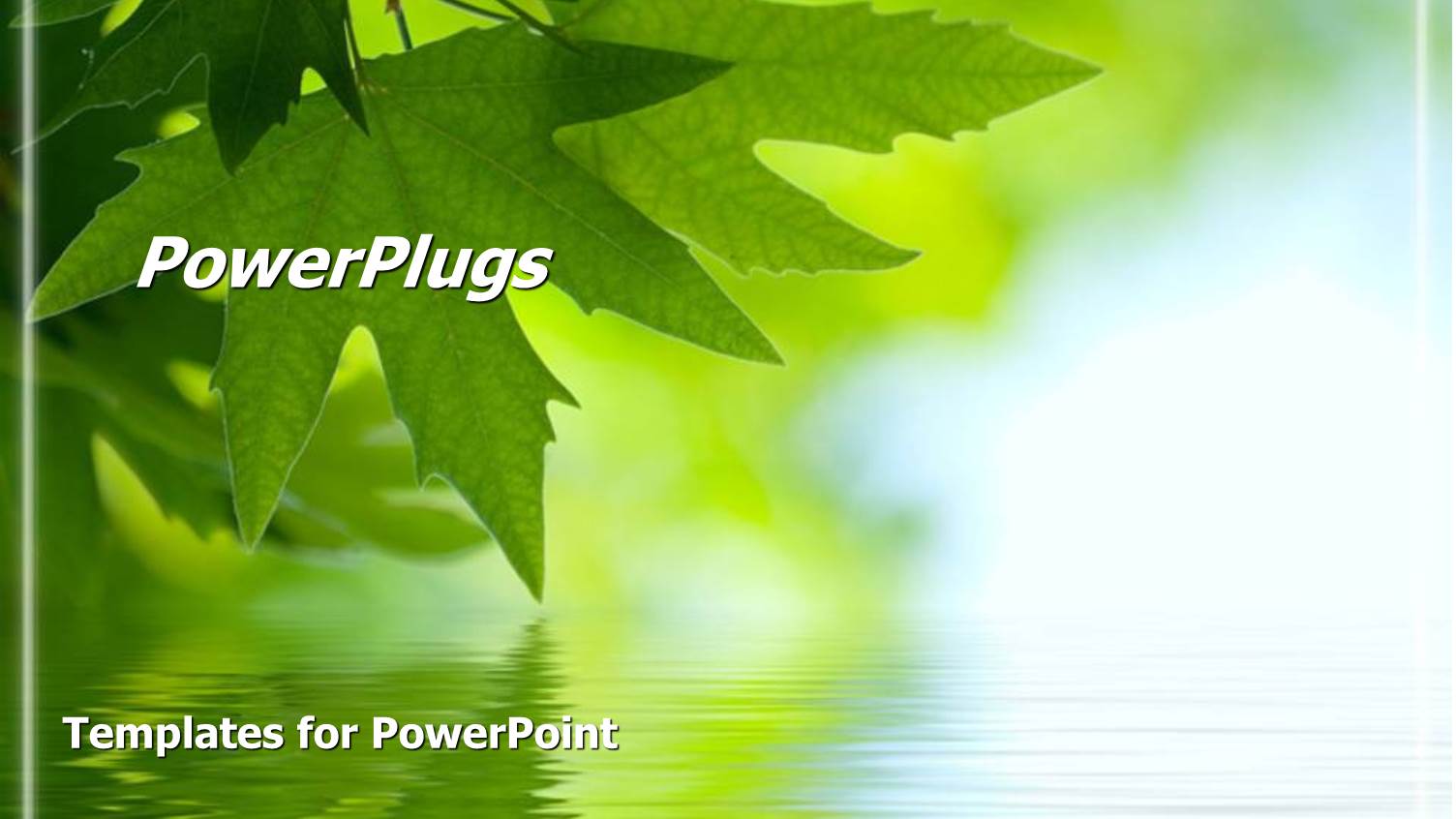 Beautiful Nature Green Leaf Touching the Water Relaxation Serene Reflection of One Self