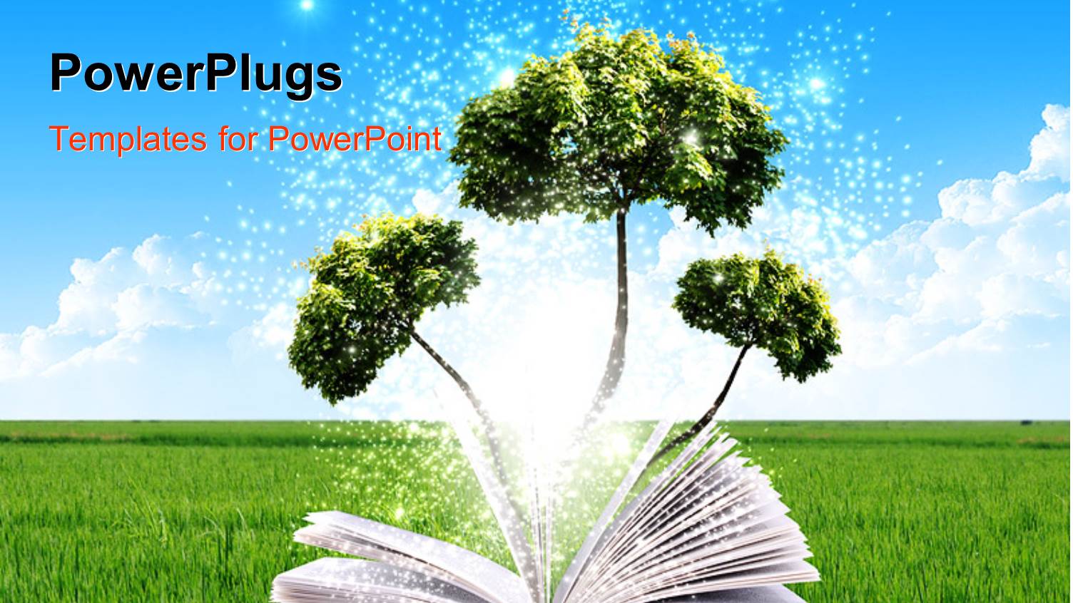 a Beautiful Notebook with a Tree in the Background