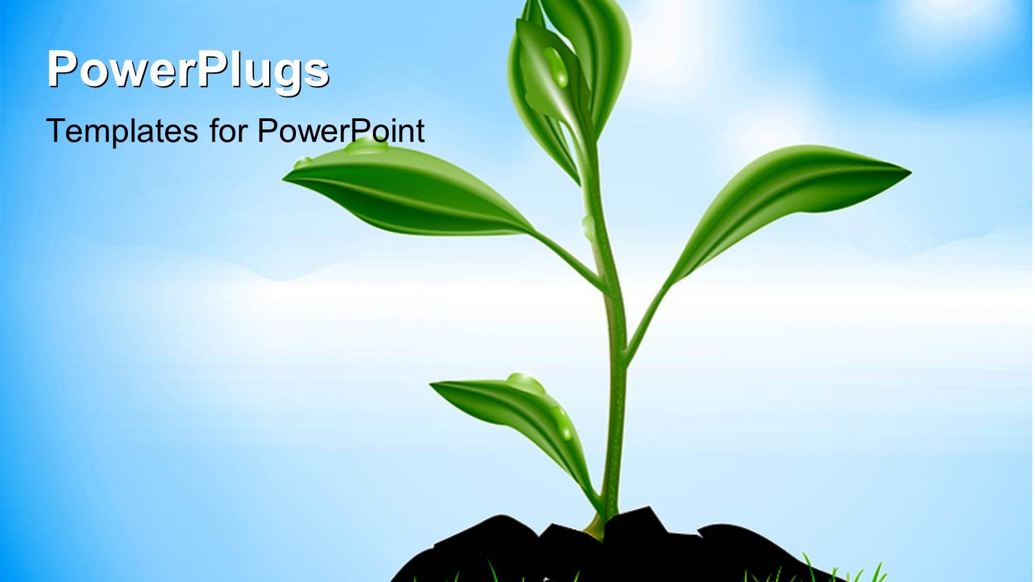 a Beautiful Plant with Bluish Background