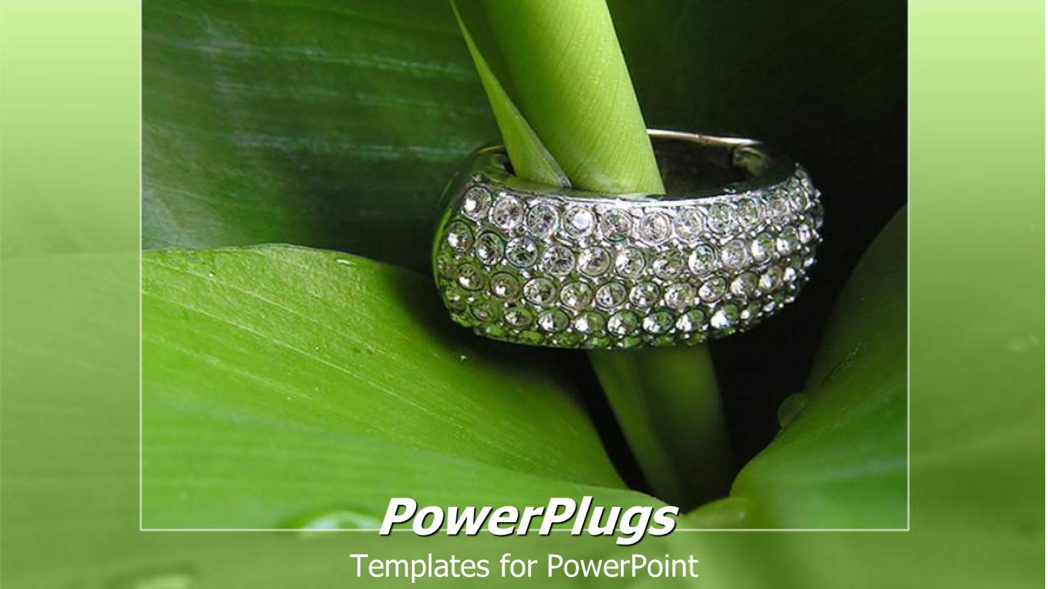 a Beautiful Plant with Jewelry Placed on it and Green Background