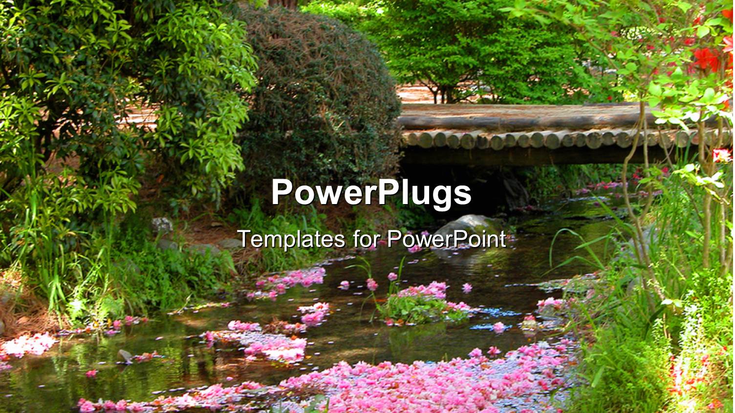 Beautiful Scenery of Spring with Blossoming Flowers and Leaves on Water Surface 