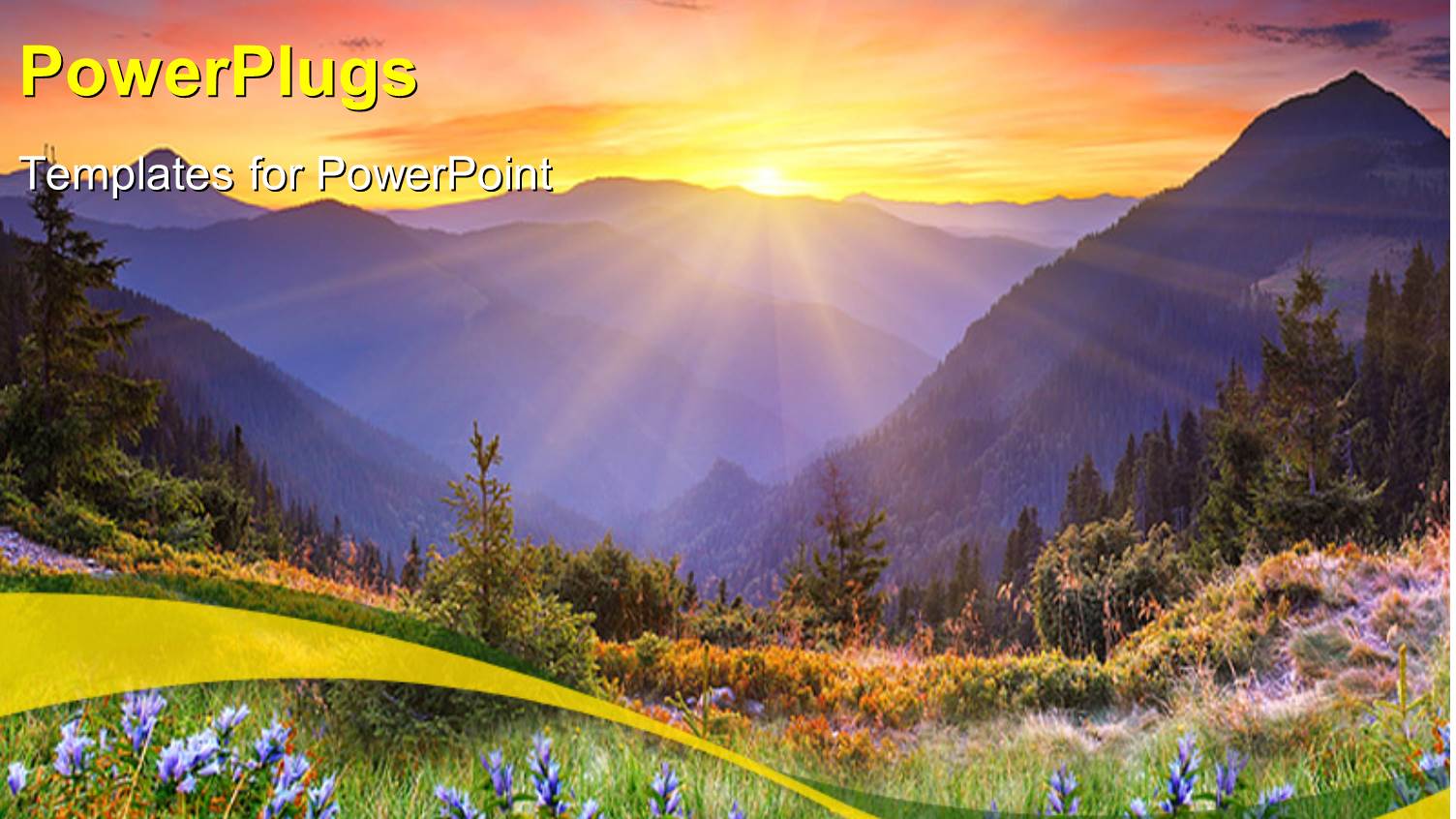 Beautiful Scenery of Sunset Over Mountains and Flower Field
