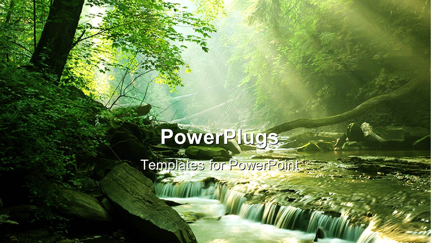 a Beautiful Spring with a Lot of Greenery