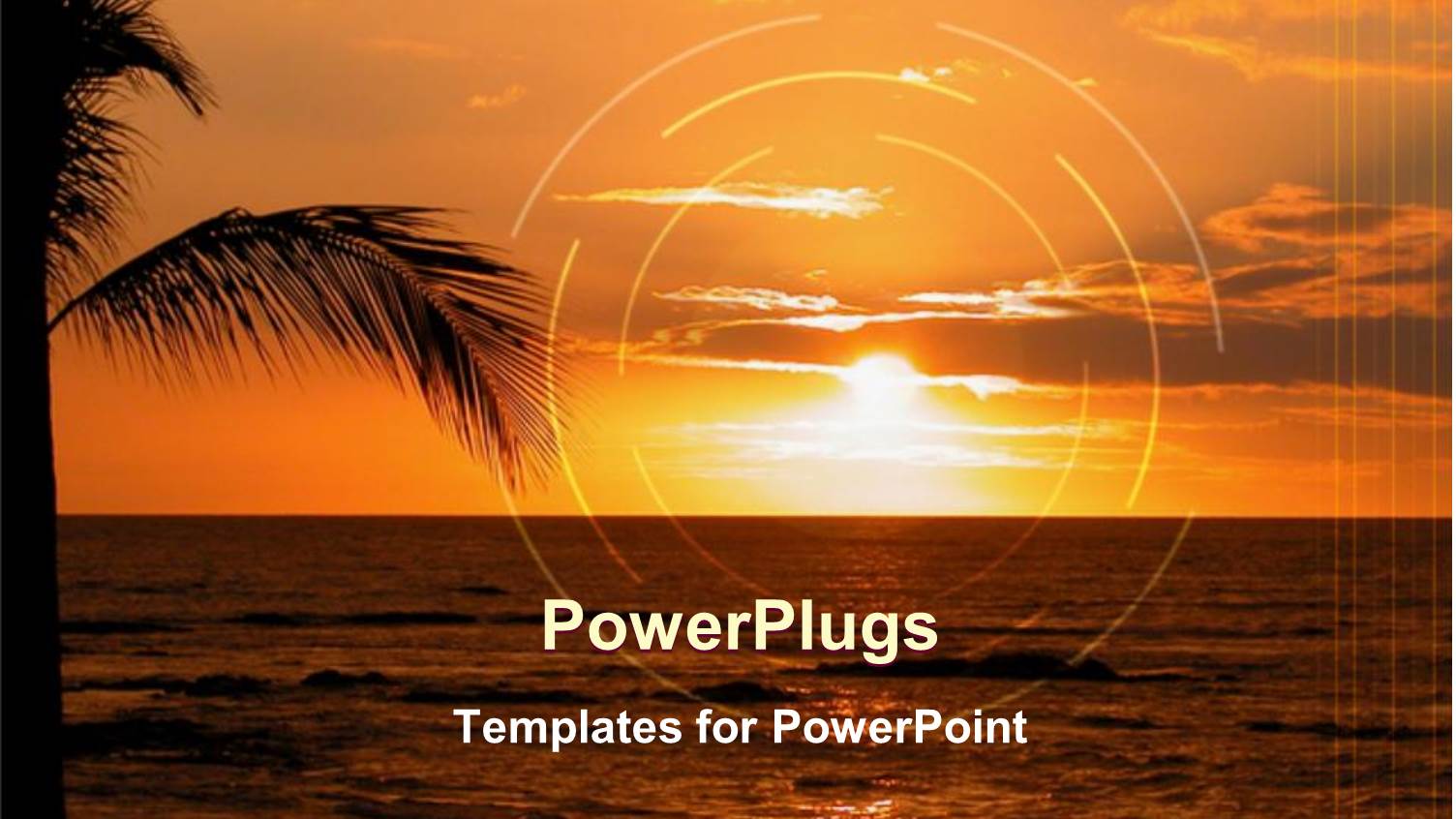 a Beautiful Sunset on a Beach with Date Trees