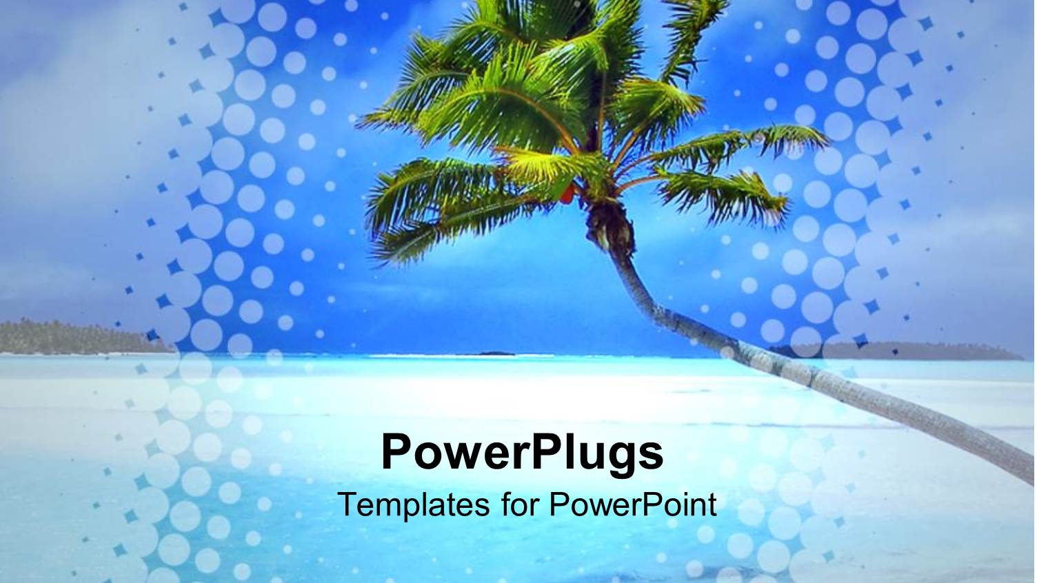 Beautiful Tropical Blue Beach with a Leaning Palm Tree