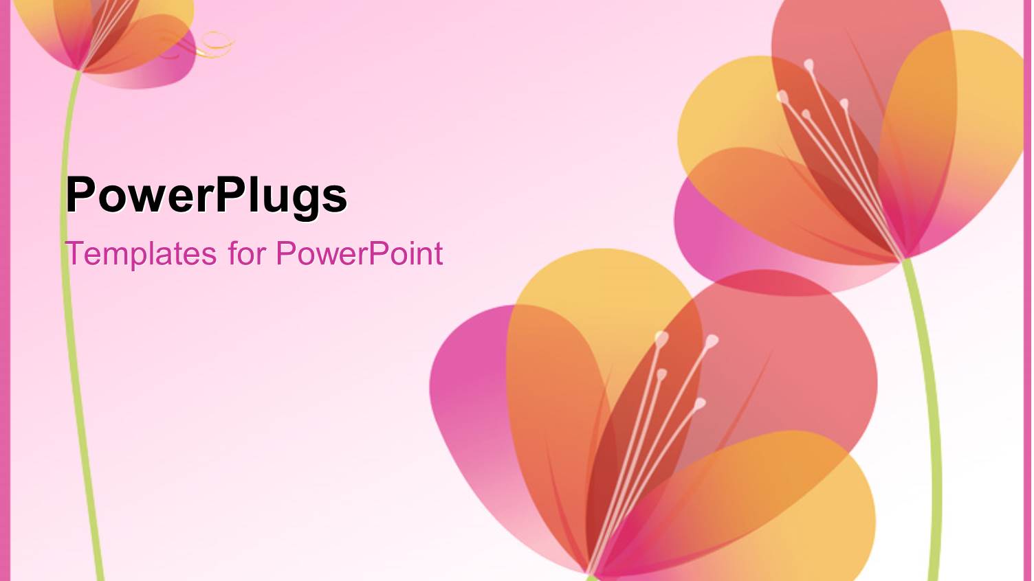 Beautiful Vector Colorful Flowers Over a Pink Background